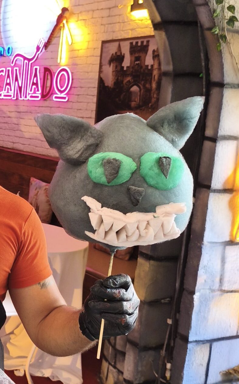gato